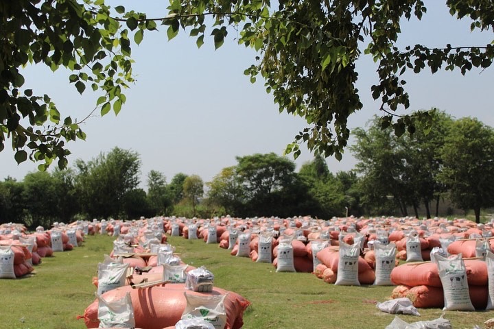 ننګرهار کې له ۱۴۳۰ کورنیو سره د کرنې او مالدارۍ په برخه کې مرستې وشوې 