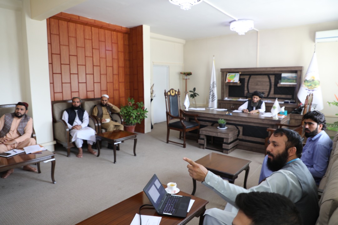 دکرنې وزارت مسلکي مرستيال د لوږې پر وړاندې د مبارزې مؤسسې له چارواکو سره وکتل 