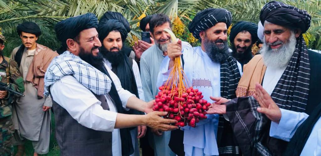 د رياست الوزراء اقتصادی مرستيال: د ننګرهار کانال ملي او حیاتي پروژه ده