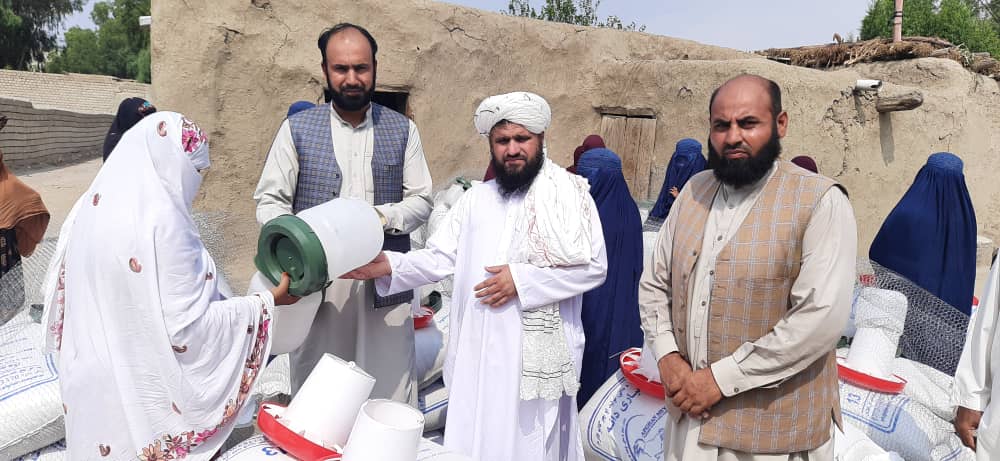 لغمان کې ۴۰۰ بېوزله کورنیو ته د چرګانو کورني فارمونه جوړ شول