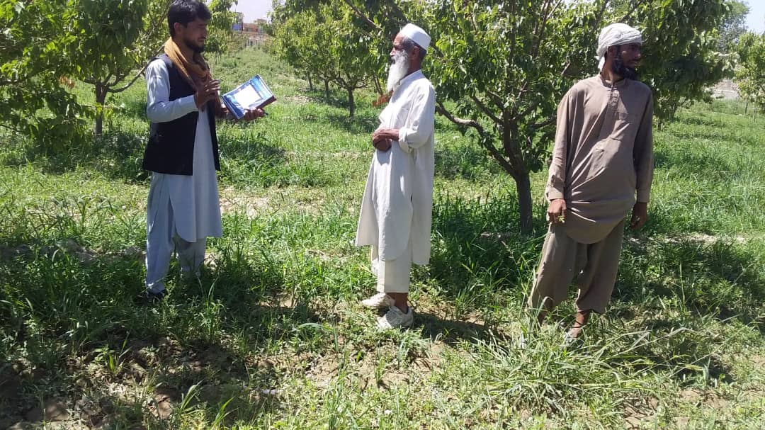 آگاهی دهی برای دهقانان ولسوالی بگرامی کابل 