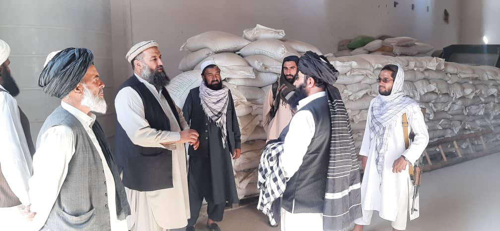 د لوګر دکرنې ریاست: د اصلاح شویو تخمونو له شرکتونو څخه لیدنه او څارنه وشوه