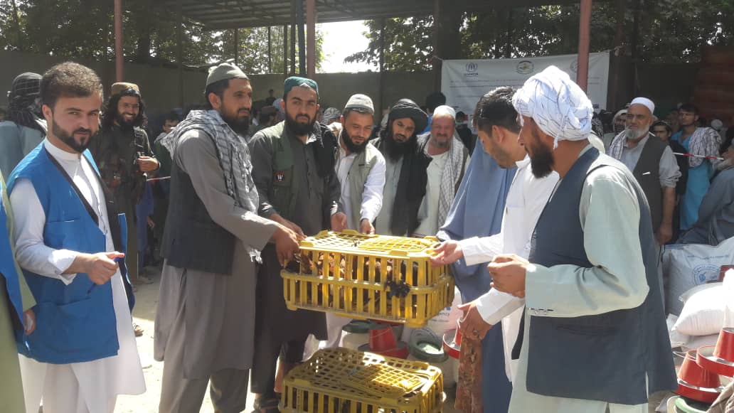 برای ۱۵۰ فامیل در ولسوالی خان آباد  کندز مرغ تخمی توزيع گردید