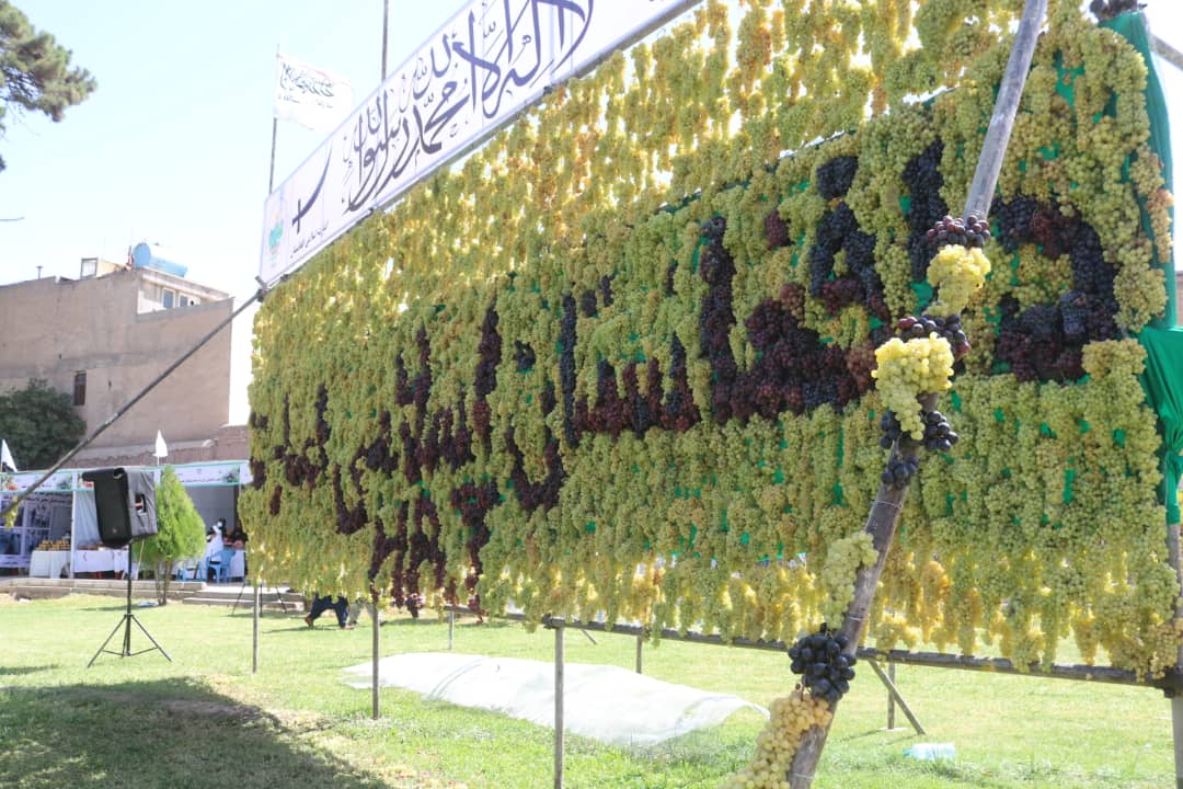 جشنواره بزرگ انگور، عسل و انجیر در هرات برگزار شد