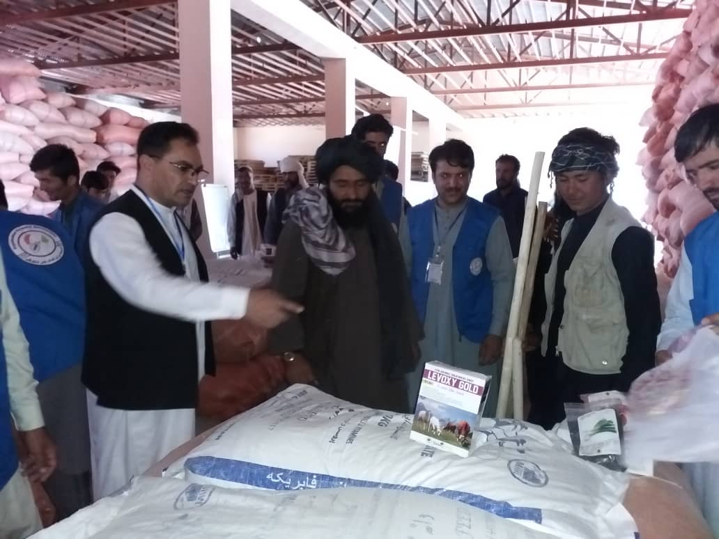 پروژه حفاظت مالداری و  توزیع کیت سبزی‌جات در ولایت دایکندی افتتاح شد