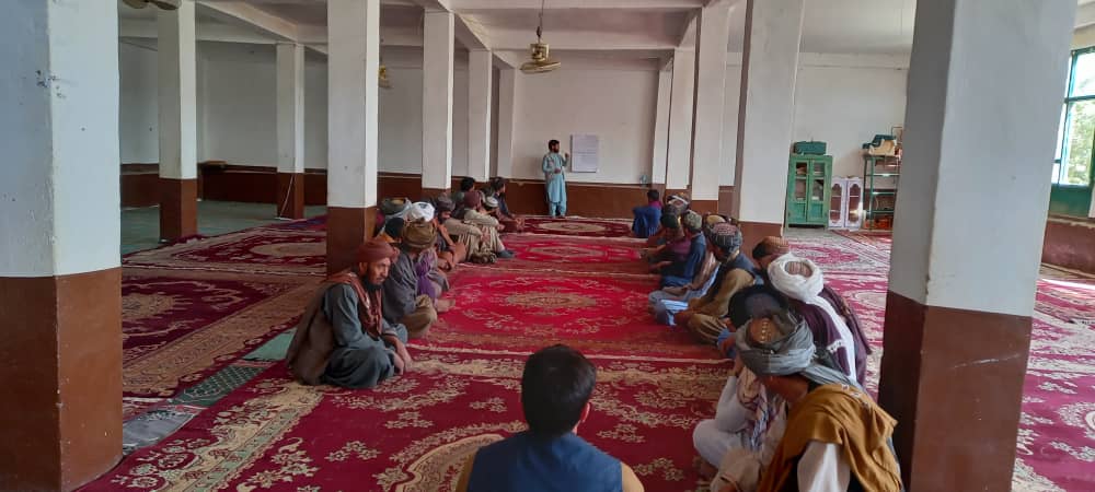 آگاهی‌دهی در مورد اهمیت جنگلات در بادغیس