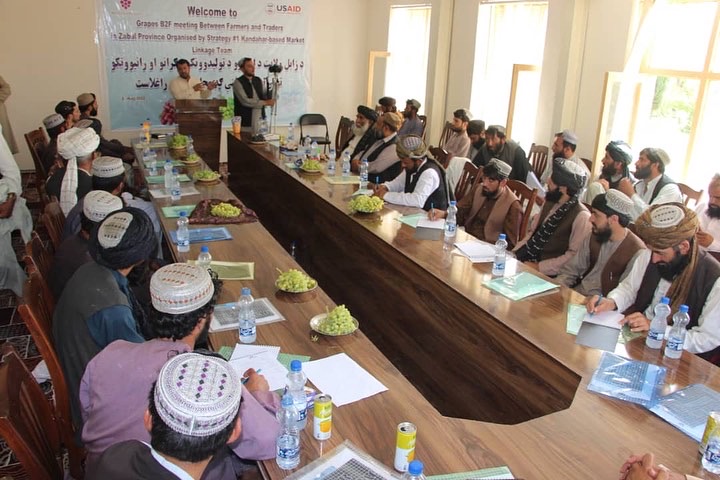 زابل کې د انګورو بڼوالو او سوداګرو ترمنځ د همغږۍ غونډه وشوه