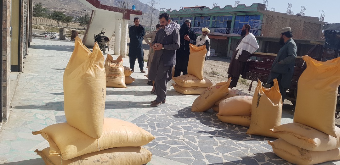 ‎میدان وردګو ولایت کې پر یوشمېر بڼوالو کیمیاوي سرې ووېشل شوې