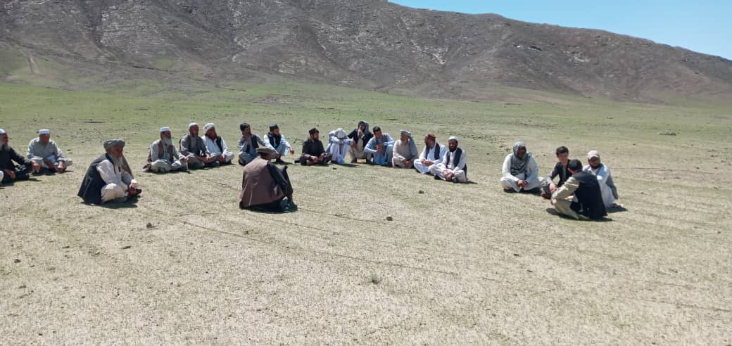 د لوګر محمدآغې ولسوالی کې ۸۰ جريبه مثمر او غير مثمر بڼونه جوړېږي