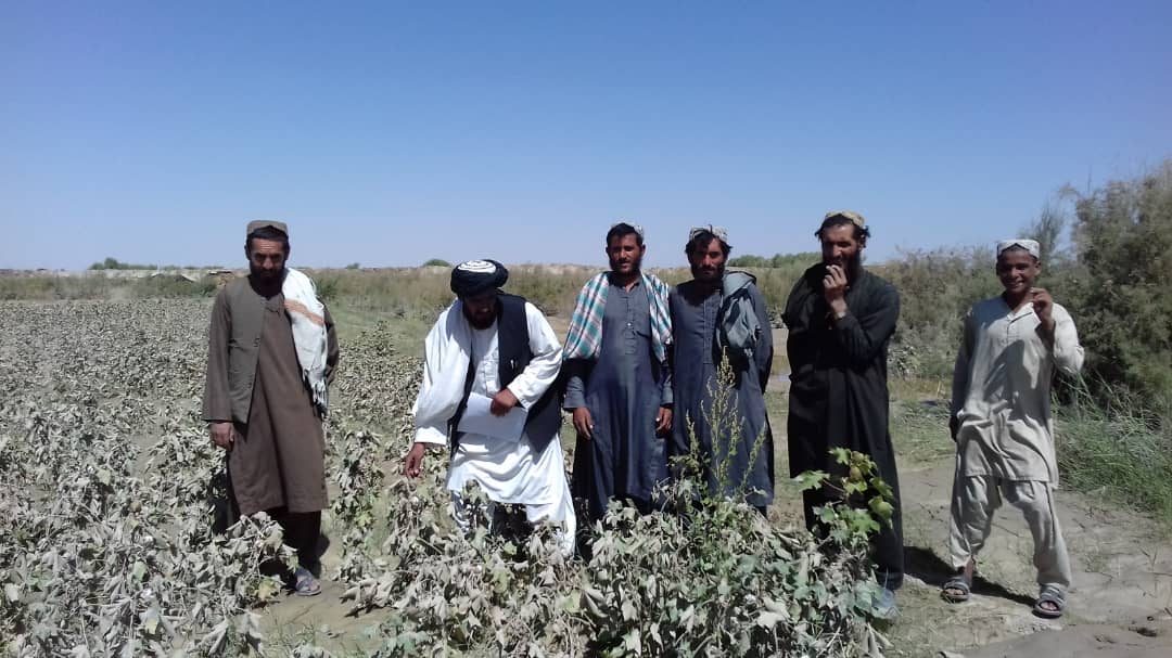 هلمند:د ناوې ولسوالی سېلاب ځپلو سیمو څخه لیدنه ترسره شوه 