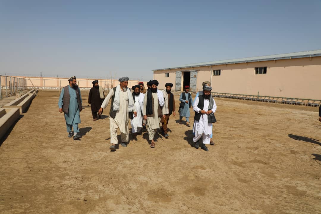 د جوزجان د قره قل فارم اړتیاوو ته د رسېدنې په پار ژمنه