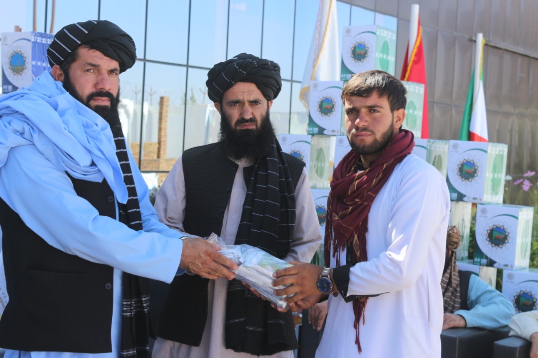 د پکتیا دکرنې ریاست: ایټالیا هېواد ته ۱۸ ټنه پروسس شوي ځنغوزي صاردل شول