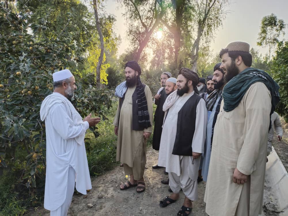 دکرنې وزارت پلاوی د فارم جدید ملي کلکسیونونو څخه لیدنه وکړه