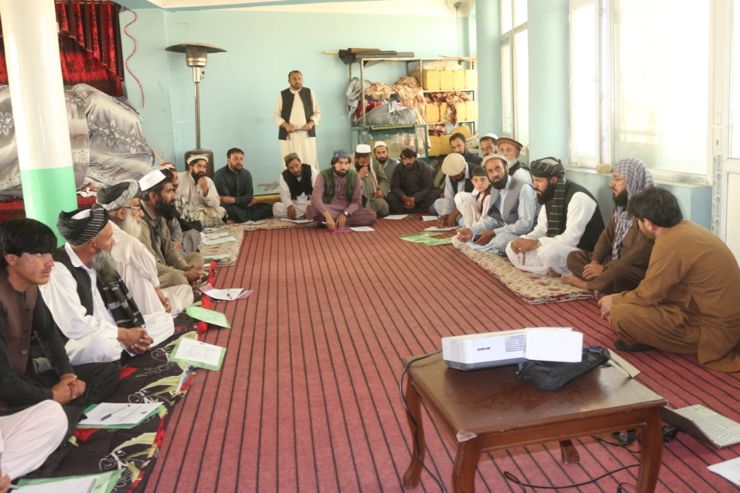 پکتيا کې یوشمېر بڼوال روزل کېږي