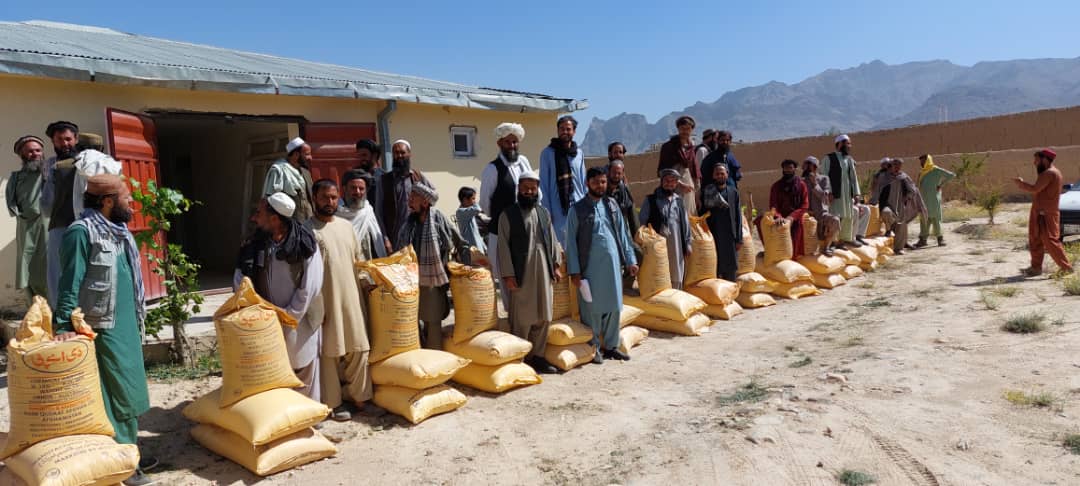 لوګر کې په یوشمېر بڼوالو کیمیاوی سره ووېشل شوه