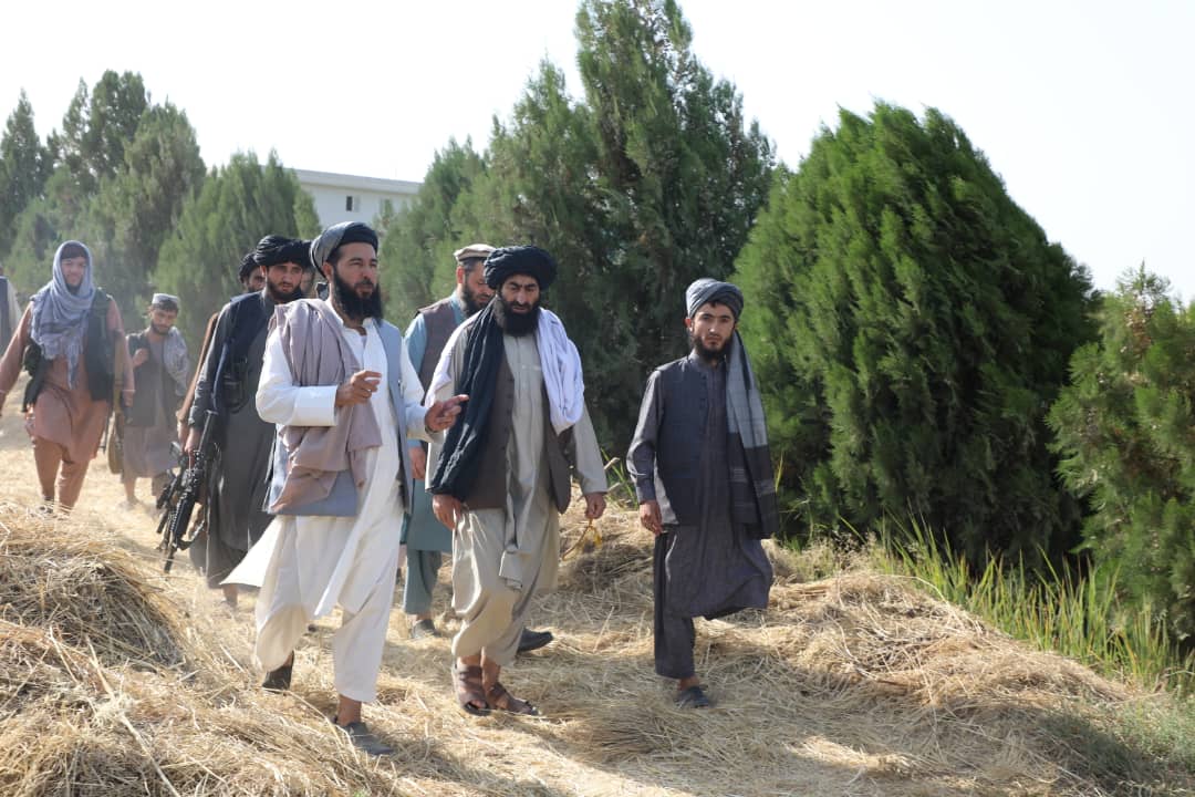 ارزیابی فعالیت‌های ریاست زراعت سرپل