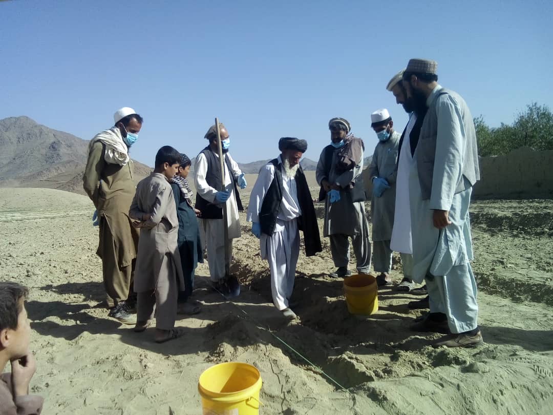 د لوګر محمدآغې کې د زعفرانو ننداریزې کروندې جوړې شوې