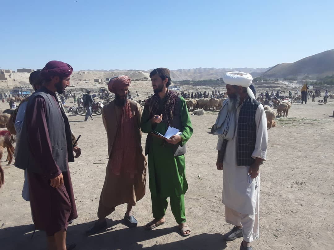 از قیمت خرید و فروش حیوانات در  ولایت بادغیس کنترول گردید