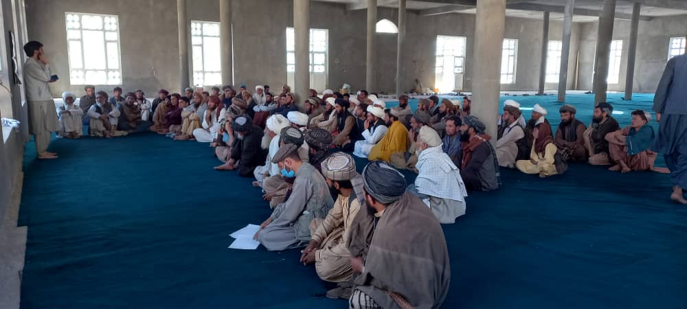 آگاهی در مورد اهمیت جنگلات در ولایت بادغیس