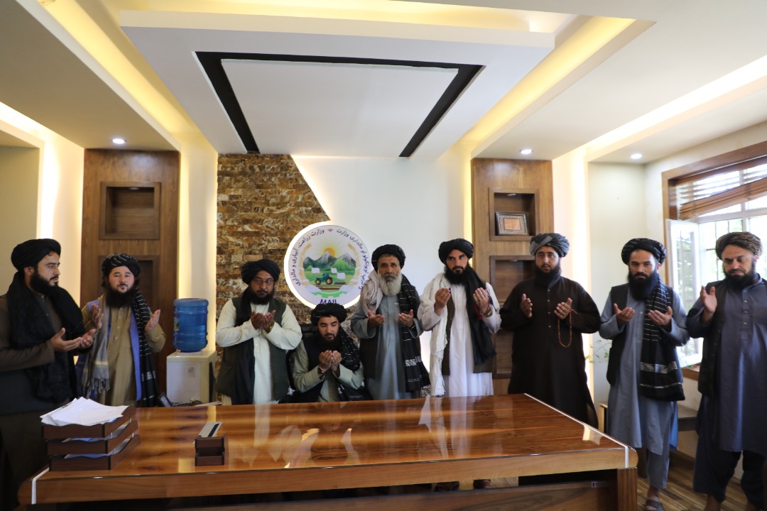 د کرنې وزارت د اداري ریاست سرپرست معرفي شو