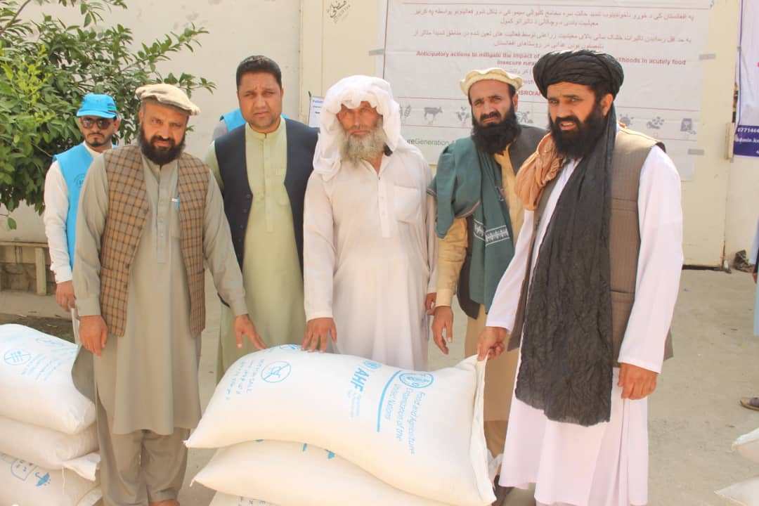 کونړ کې په ۶۶۶ مالدارانو د څارویو خوراکي توکي ووېشل شول