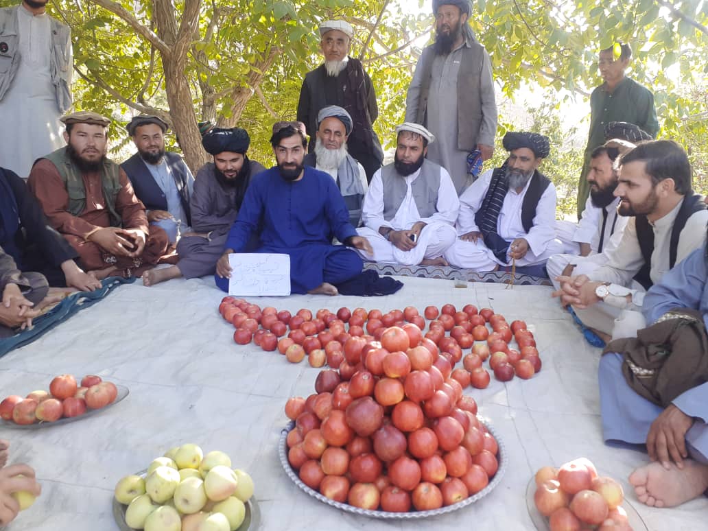 دیدار مسؤولان ریاست زراعت بغلان از باغ مصنوعی پلخمری