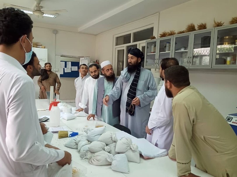 د ننګرهار دکرنې رییس: بزګرانو ته باید د سیمه ییزو تخمونو پرځای د اصلاح شویو تخمونو لارښوونې ووشي