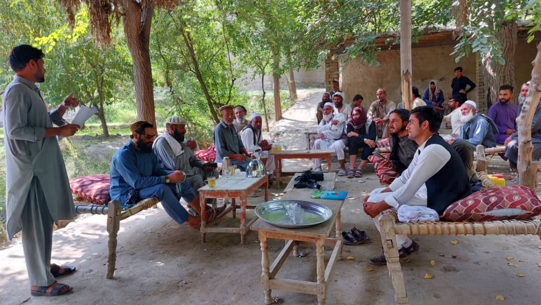 ننګرهار کې د غنمو اصلاح شویو تخمونو او کیمیاوی سرو د وېش په موخه سروې ترسره شوه