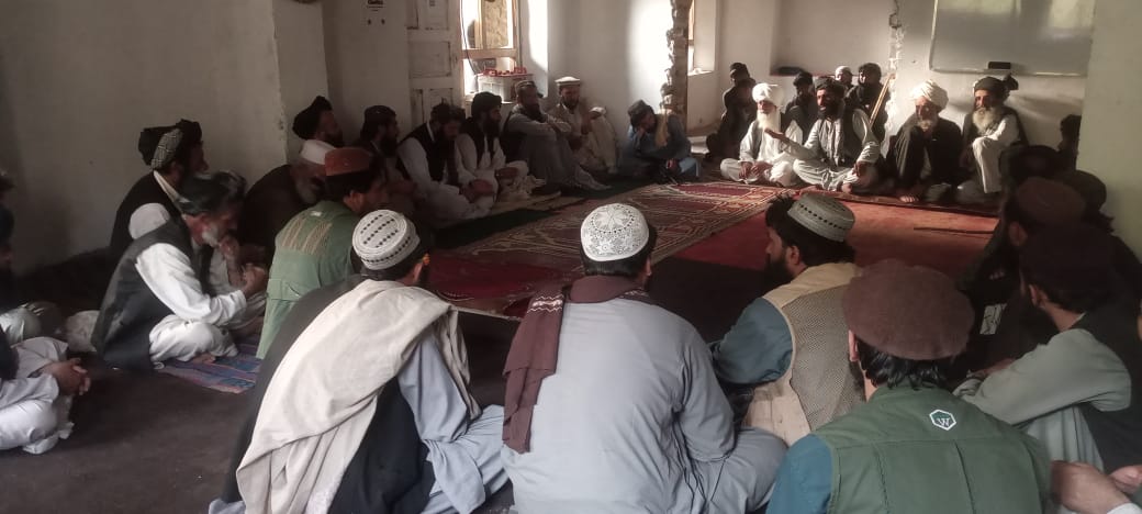 پکتيا کې د ځنګلونو خونديتوب په پار هلې ځلې