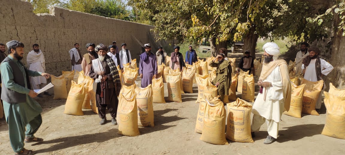 هلمند کې سلګونو بڼوالو ته  کیمیاوي سرې ووېشل شوې