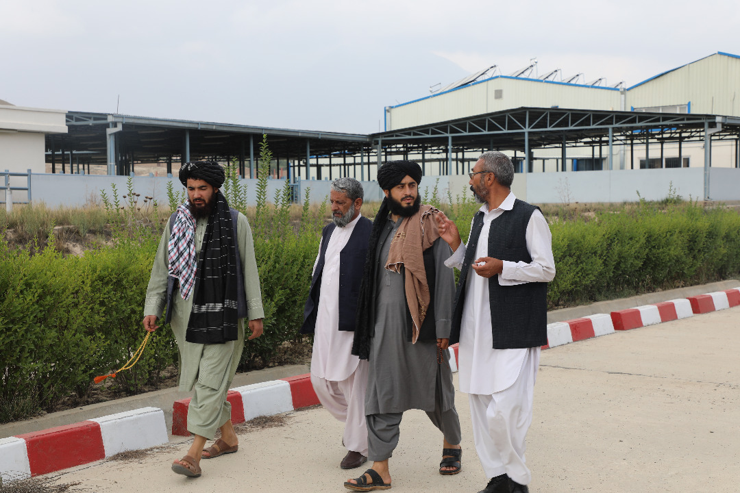 سرپرست ریاست اداری وزارت زراعت از مسلخ شکر دره بازدید کرد