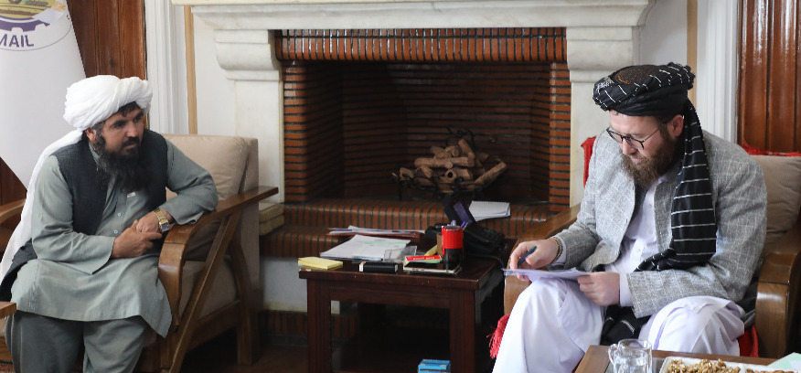 دکرنې سرپرست وزیر د فراه او نیمروز د کرنې چارواکو سره وکتل