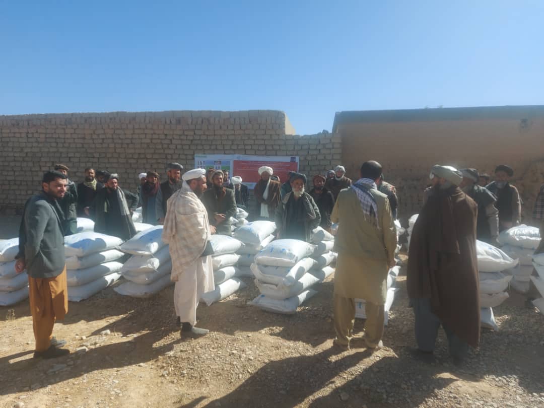 توزیع ۲۰۰ متریک تن علوفه برای مالدارن ولایت غور