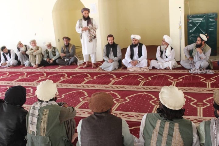 لغمان کې د ځنګلونو د خوندیتوب په پار هلې ځلې ګړندي شوي