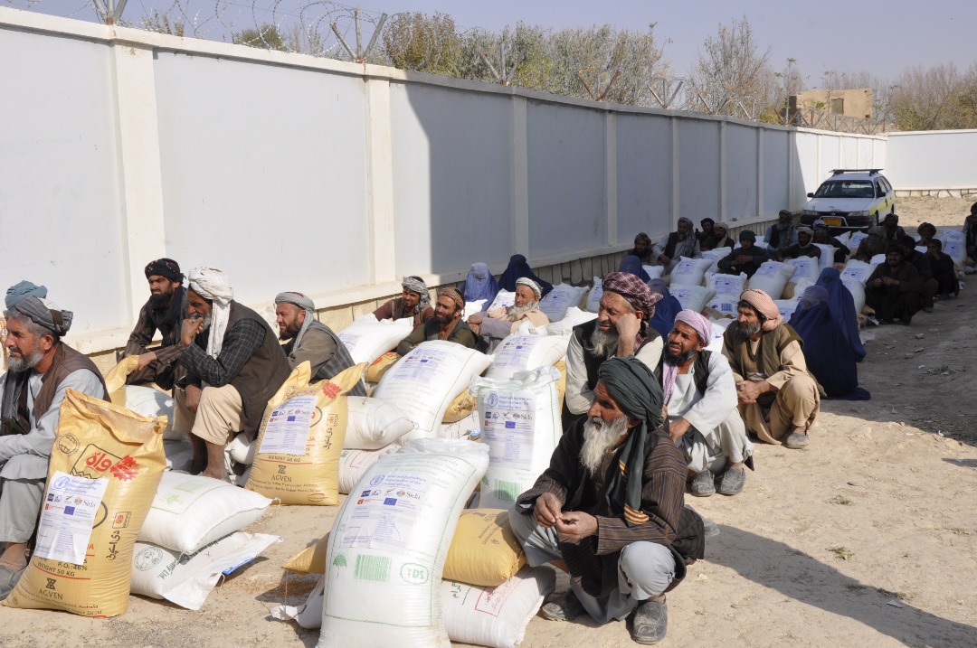 توزیع تخم‌اصلاح‌شده بذری و کودکیمیاوی برای  ۳۵۰۰ دهقانان ولایت جوزجان