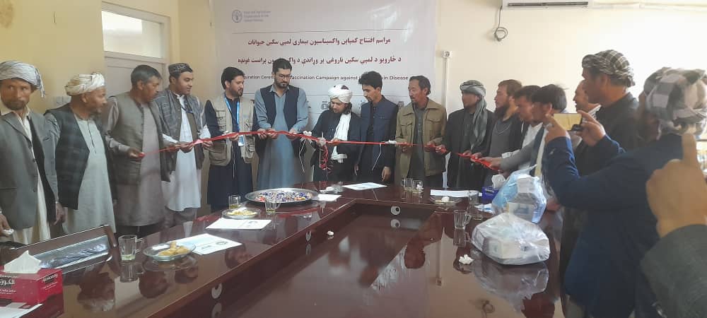 افتتاح کمپاین واکسیناسیون بیماری لمپی سکین حیوانات  در ولایت بامیان