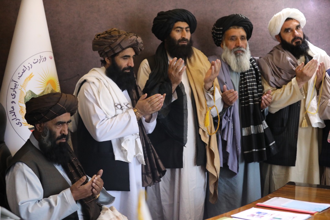 مولوی باز محمد فیضان د کرنې وزارت د اوبولګولو او طبیعي سرچینو د مرستیال په توګه معرفي شو