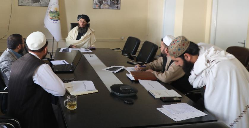 ‎د څراځ (LAMP) مؤسسې چارواکو د کرنې وزارت مسلکي مرستیال ته د خپلو فعالیتونو راپور وړاندې کړل