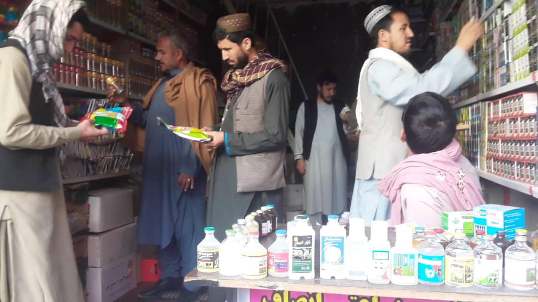 فعالیت‌ دواخانه‌های حیوانی و زراعتی ولایت بادغیس  تفتیش و نظارت شد