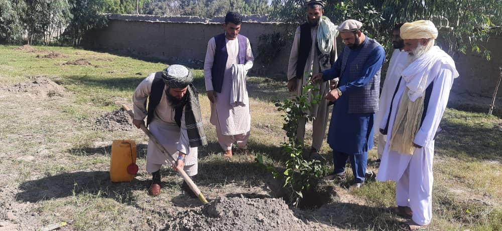 ‎لغمان کې د سټروسو د نویو بڼونو جوړولو لړۍ پیل شو