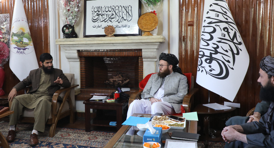 د کابل پوهنتون د کرنې پوهنځی استادانو سره دکرنې سرپرست وزیر مشورتي غونډه