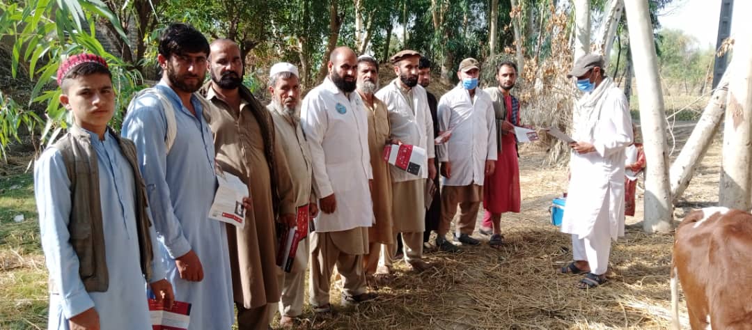 تطبیق واکسین حیوانی LSD در  ولایت لغمان آغاز شد