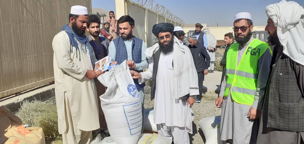 لوګر کې بزګرانو ته د سرې او غنمواصلاح شویو تخمونو د وېش لړۍ پیل شو