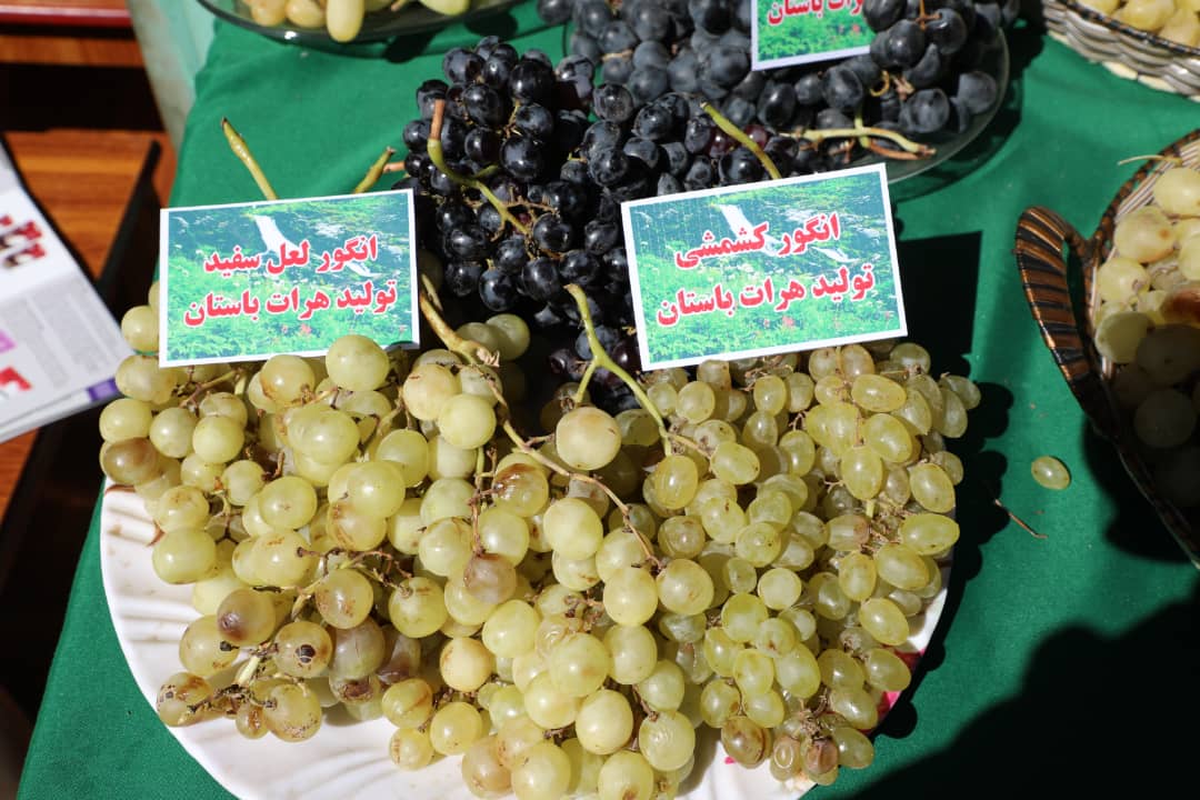 Afghanistan Agricultural Products