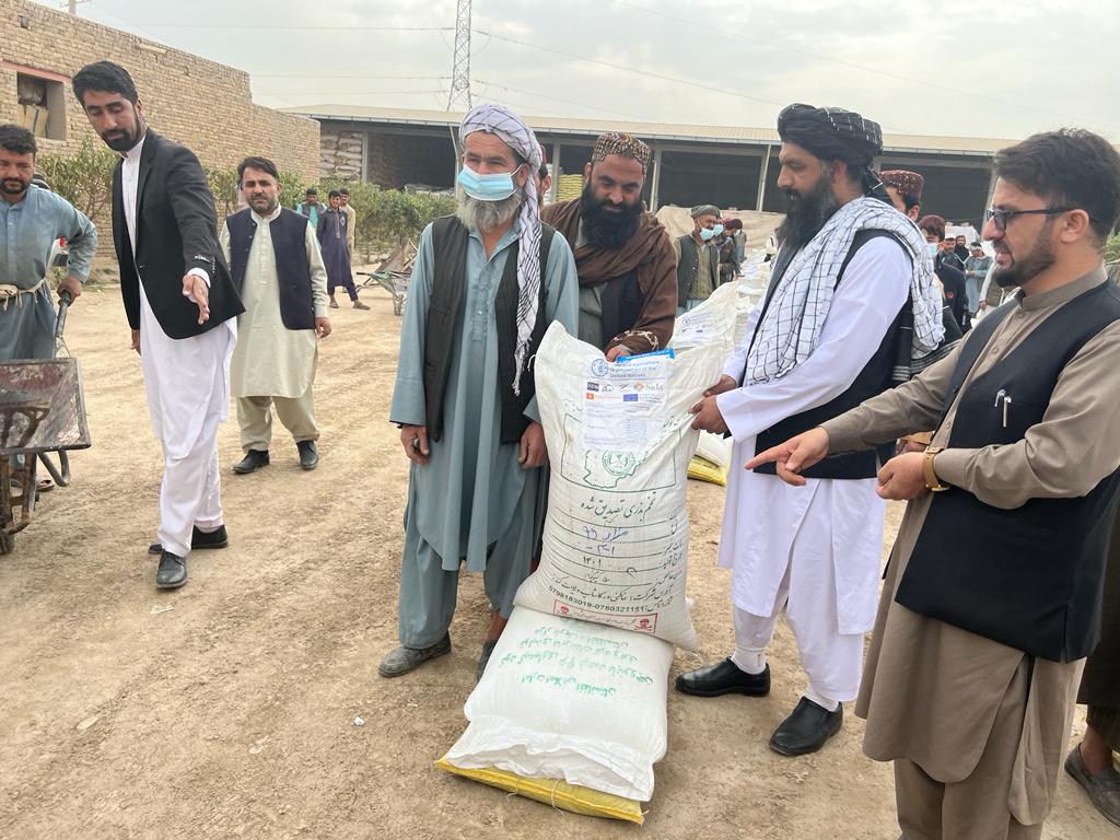 به سههزار دهقان در ولسوالی امام صاحب کندز تخم بذری گندم و کود کیمیاوی توزیع شد