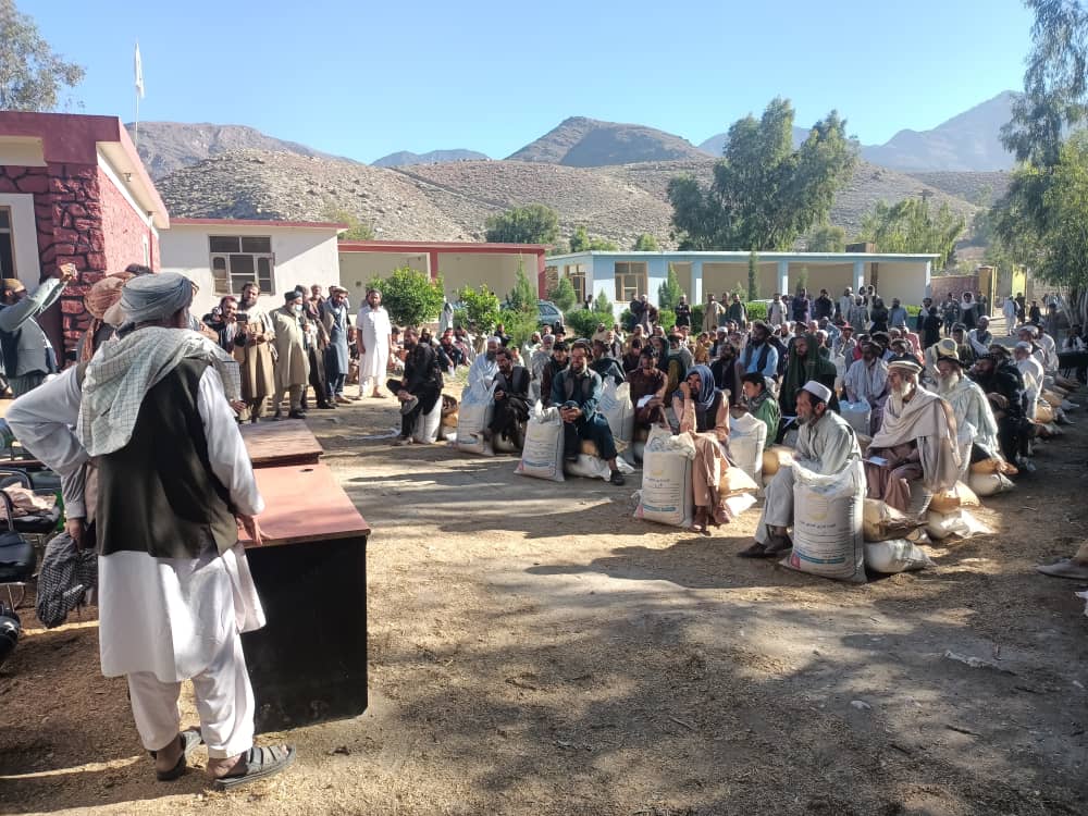 د لغمان علیشنګ کې په ۳۶۳ بزګرانو د غنمو اصلاح شوي تخمونه او کیمیاوي سرې وېشل کېږي