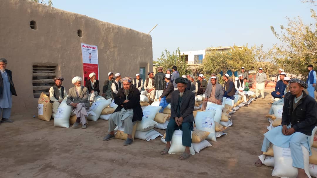 توزیع تخم اصلاح شده و کود کیمیاوی به یک هزار دهقان در جوزجان 