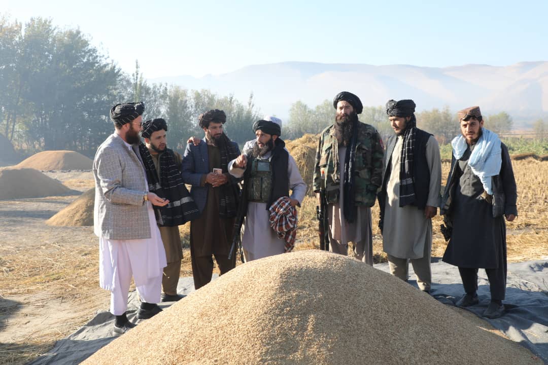 دتخار ولایت د شولو کروندګرو ستاینه او هڅونه