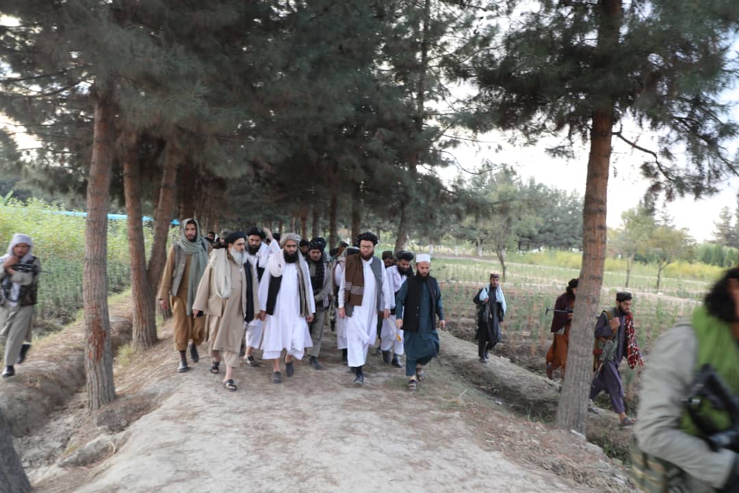 دکرنې وزارت سرپرست د تخار ولایت د ذخیرې بڼ له څېړنیز فارم څخه لیدنه وکړه