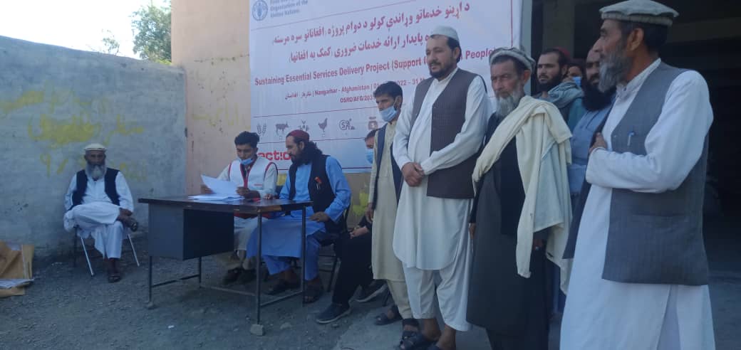 ننګرهار: د لعلپور ولسوالی په ۱۰۰۰  بزګرانو د غنمو اصلاح شوي تخمونه او کیمیاوي سرې ووېشل شوې